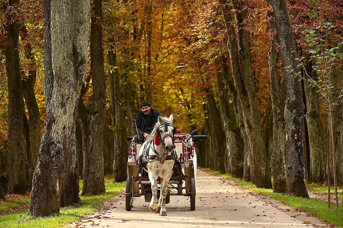 Sunčano u BiH, temperature do 29 stepeni