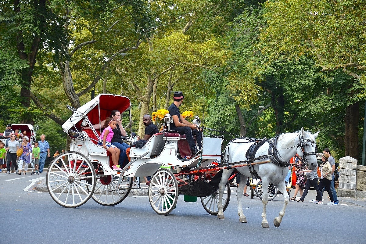 New York planira ukinuti vožnje kočijama kroz Central Park, poznatoj turističkoj atrakciji bliži se kraj