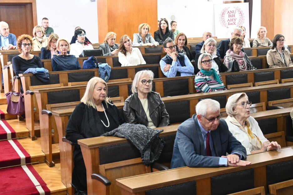 Posjetioci na predavanju prof. Nedima Hadžića u ANUBiH (Foto: F. H./Klix.ba)