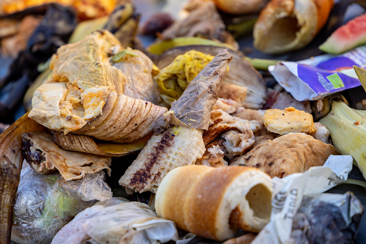 Prosječna osoba godišnje baci 79 kilograma hrane: Kako smanjiti otpad u kuhinji
