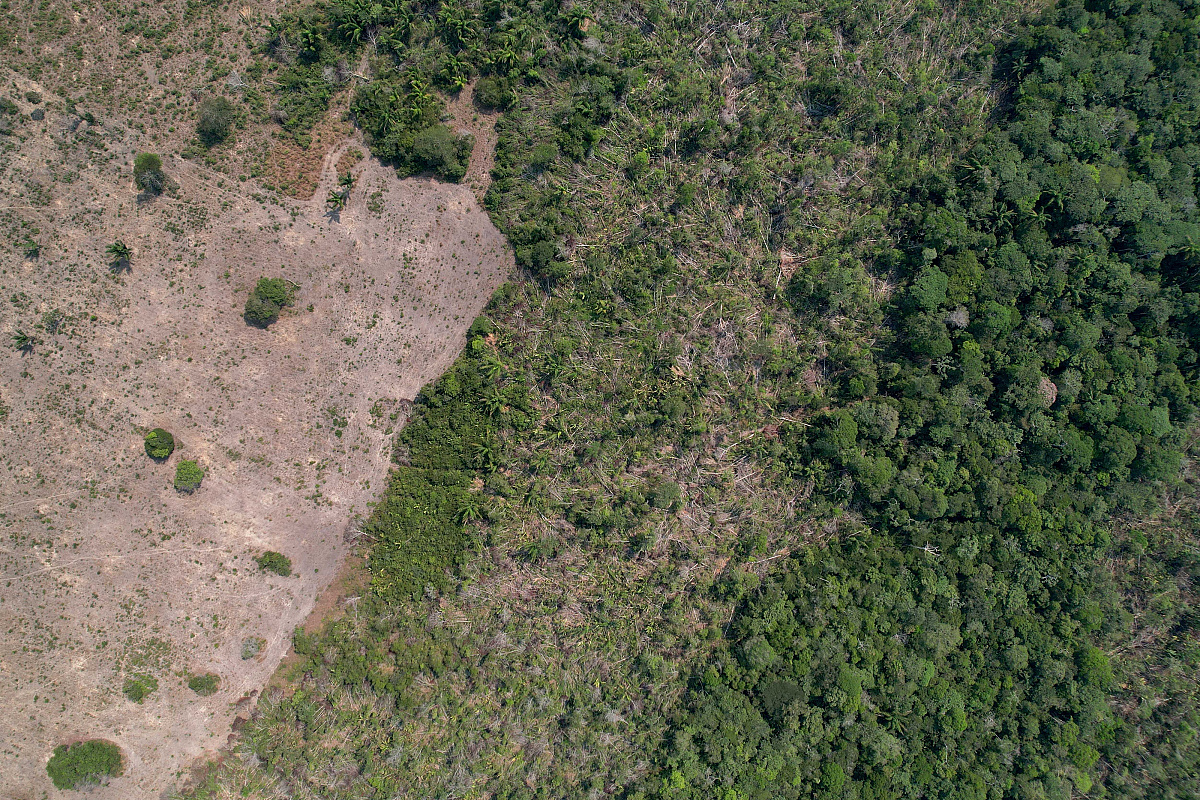 Krčenje amazonske prašume u Brazilu palo na najniži nivo od početka mjerenja