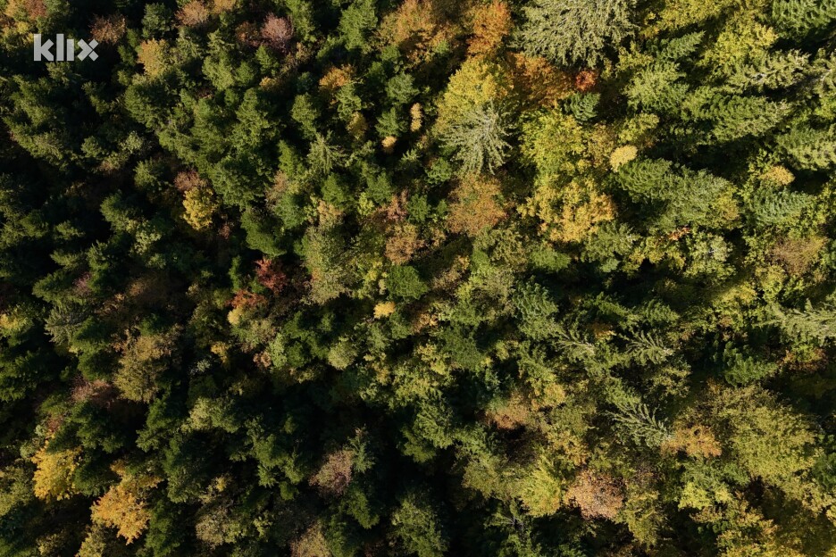 Šume na obroncima pretvorile su se u pravu paletu boja (Foto: D. S./Klix.ba)