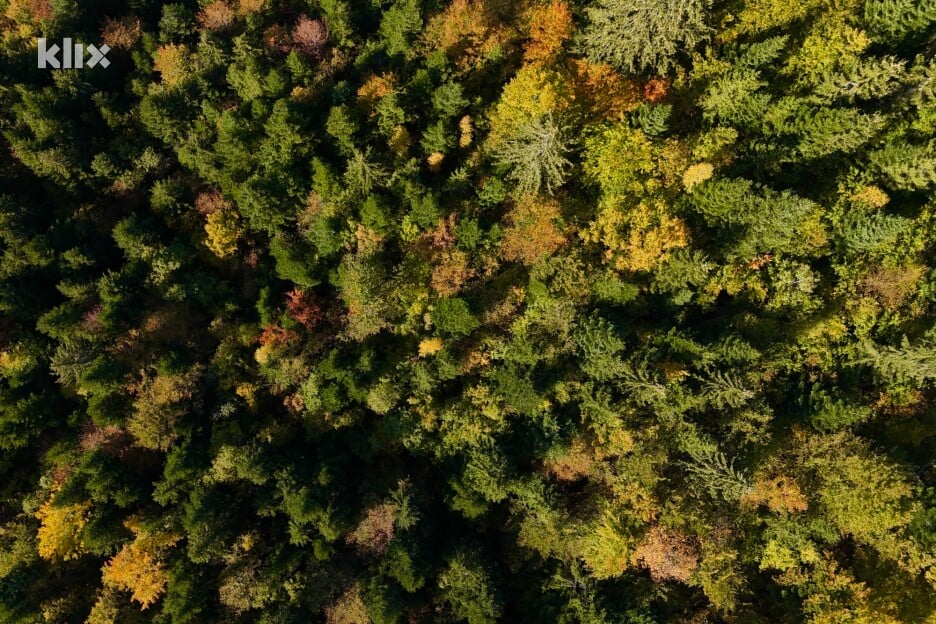 Šume na obroncima pretvorile su se u pravu paletu boja (Foto: D. S./Klix.ba)