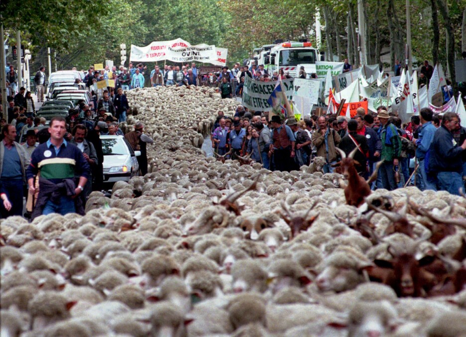 Foto: AP