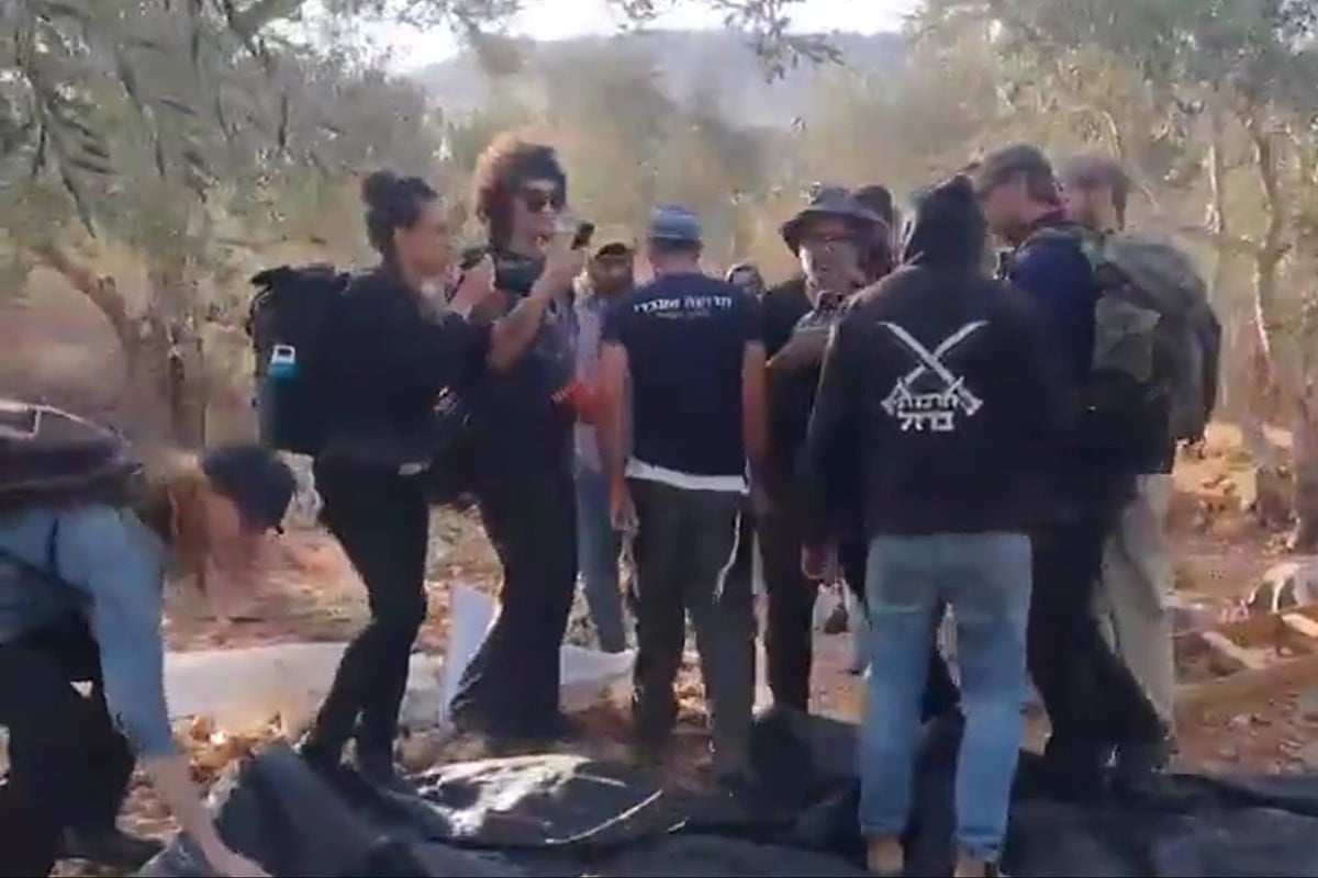 Izraelski doseljenici štapovima i sjekirama tjerali Palestince iz maslinika na Zapadnoj obali