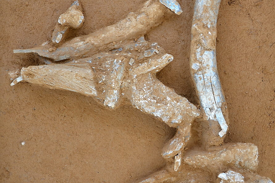 Foto