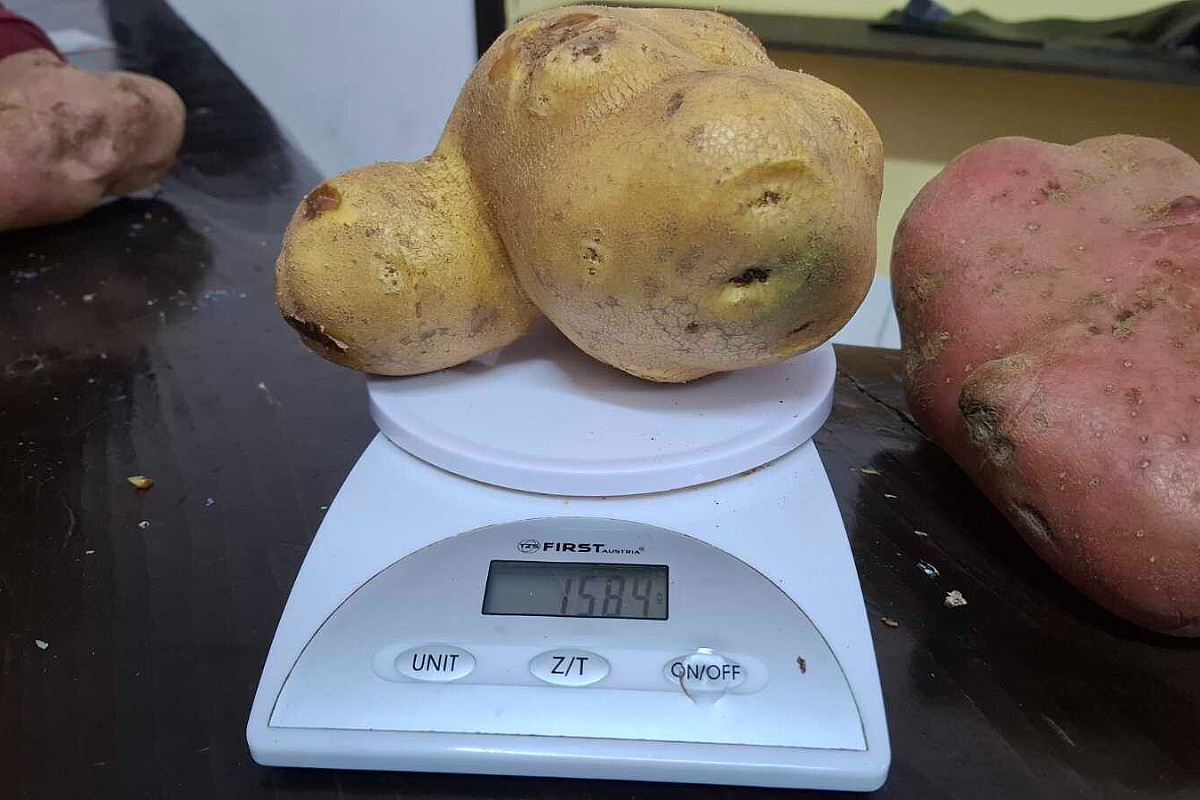 Foto