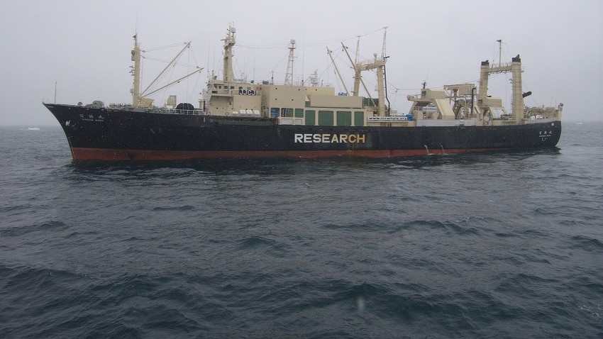 Brod Nisshin Maru