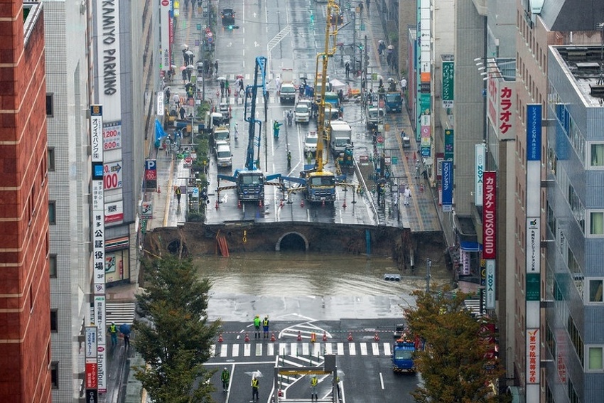 Rupa u Japanu, 08.11.2016. (Foto: EPA)