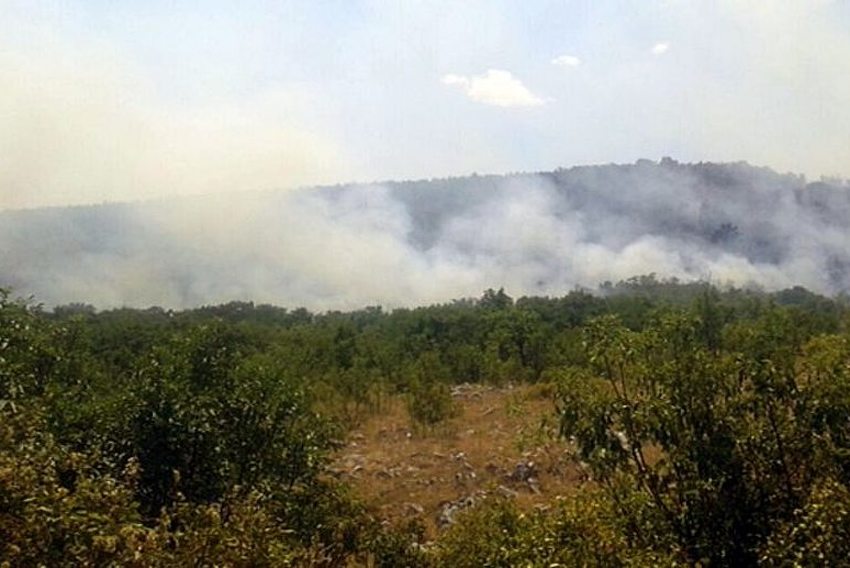 Foto: Trebinje Live