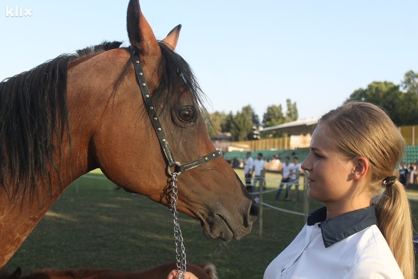 Trenerica i konj (Foto: Elmedin Mehić/Klix.ba)
