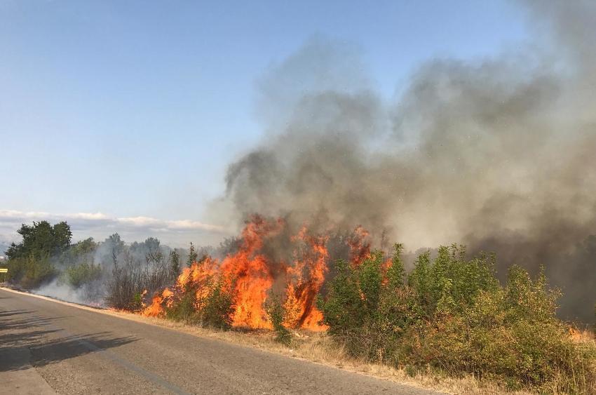 Zbog izazivanja požara u Hrvatskoj uhapšeno 14 osoba