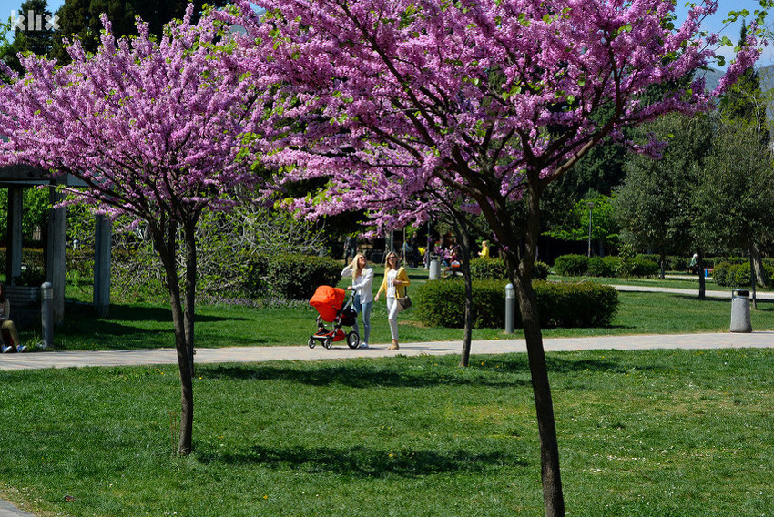 Za vikend ćemo uživati u sunčanom vremenu i temperaturama do 27 stepeni