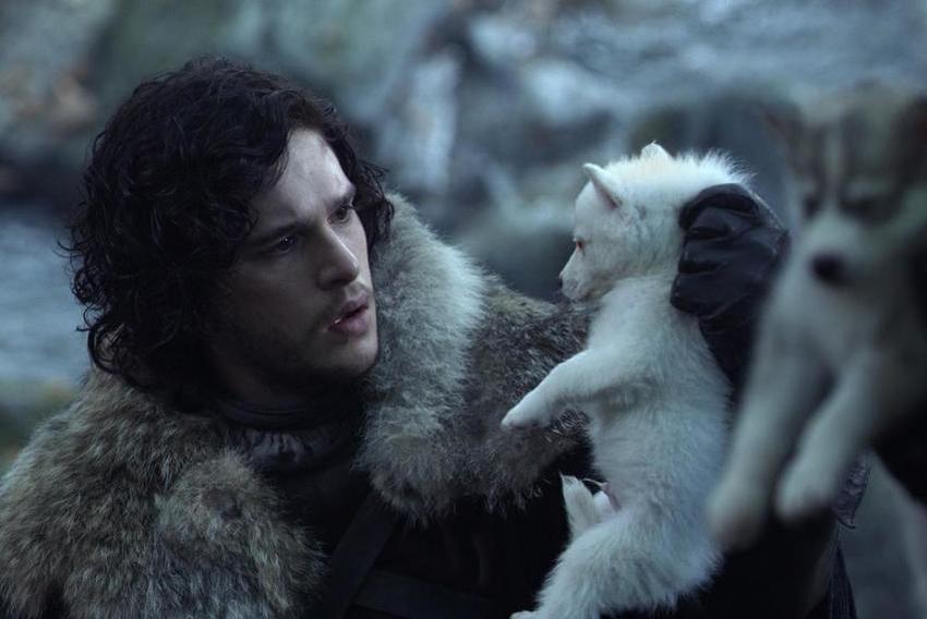 Jon Snow i Duh (Foto: HBO)