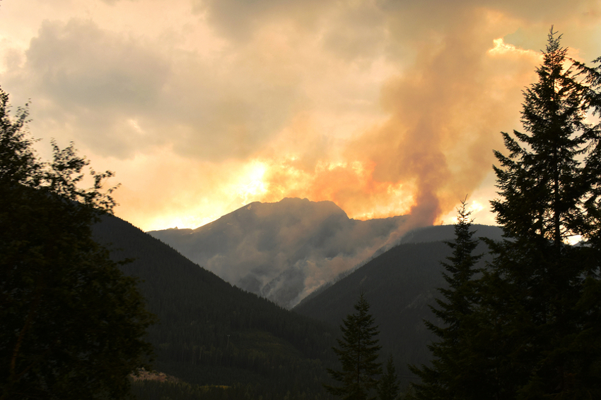 Požari u Kanadi (Foto: Shutterstock)