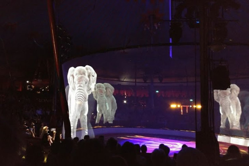 Rezultat slika za NjemaÄki cirkus koristi holograme umjesto pravih Å¾ivotinja, Å¾ele zaustaviti zlostavljanje
