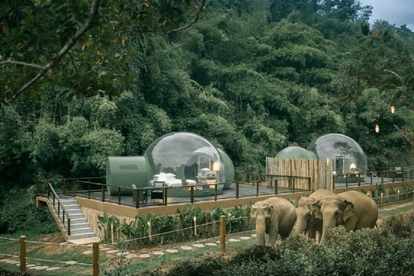 Foto: Anantara Golden Triangle Elephant Camp & Resort
