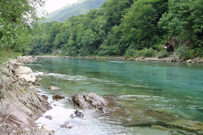 Foto: Centar za životnu sredinu