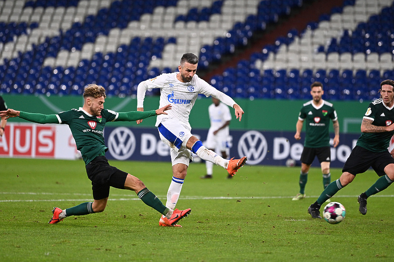 Ibišević je za Schalke je ove sezone odigrao četiri utakmice u Bundesligi i jednu u Kupu Njemačke (Foto: EPA-EFE)