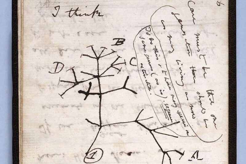 Bilježnica na kojoj je Charles Darwin nacrtao