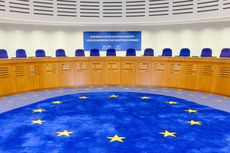 Evropski sud za ljudska prava / Foto: Shutterstock