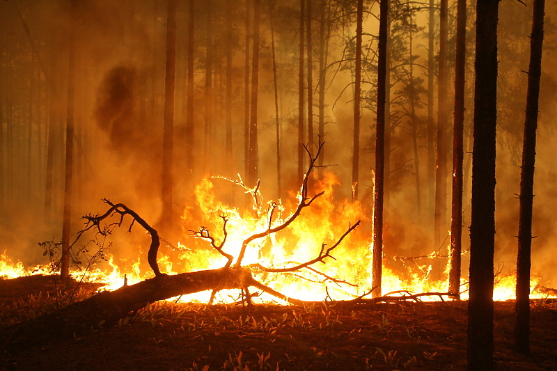 Požari u Sibiru prouzrokovali probleme (Foto: EPA-EFE)