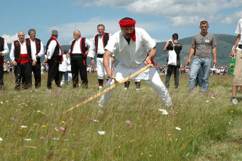 Kosidba je u ovom kraju viševjekovna tradicija (Foto: Bljesak)