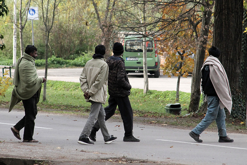 Upitan nastavak rada kampa Lipa (Foto: E. M./Klix.ba)