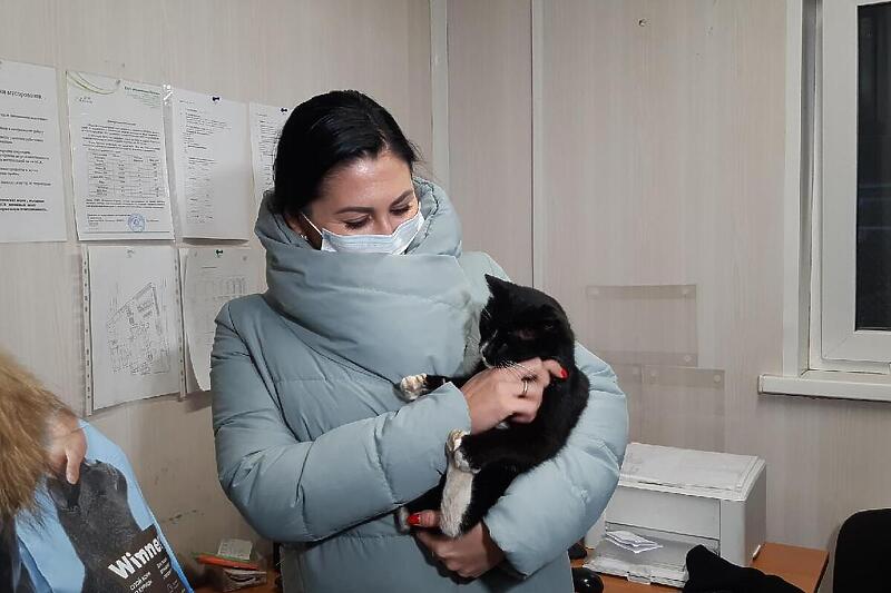 Mačka imenovana za počasnog pomoćnika ministrice nakon što je spašena -  Klix.ba