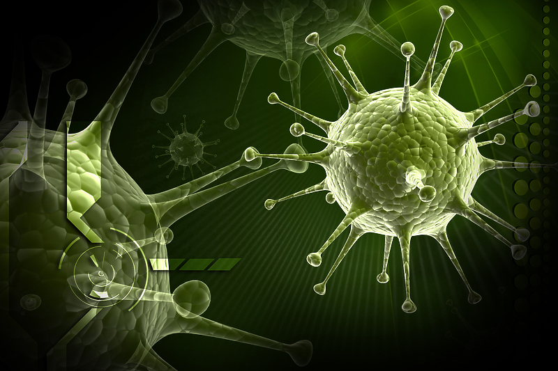 Otkako je počela epidemija koronavirusa u FBiH nije potvrđen nijedan slučaj gripe