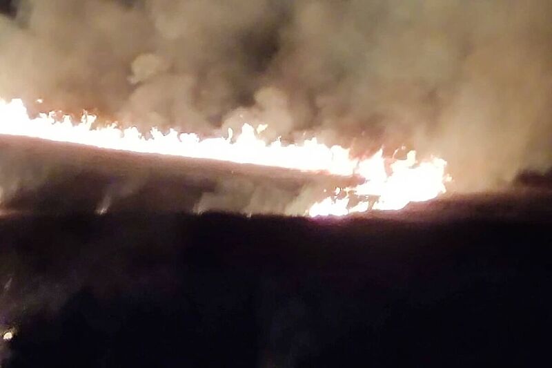 Požar u Hutovom blatu (Foto: Instagram Vatrogasci Čapljina)