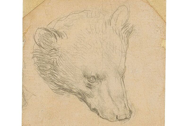 Da Vincijev crtež Glava medvjeda (Foto: Christie's)