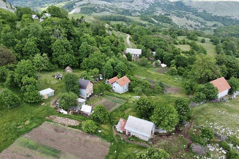 Bukvica (Foto: D. S./Klix.ba)