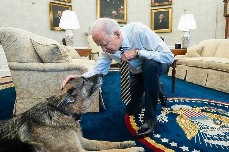 Biden sa njemačkim ovčarom Champom (Foto: Twitter)