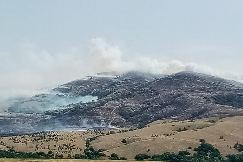 Požar u Tomislavgradu (Foto: FENA)