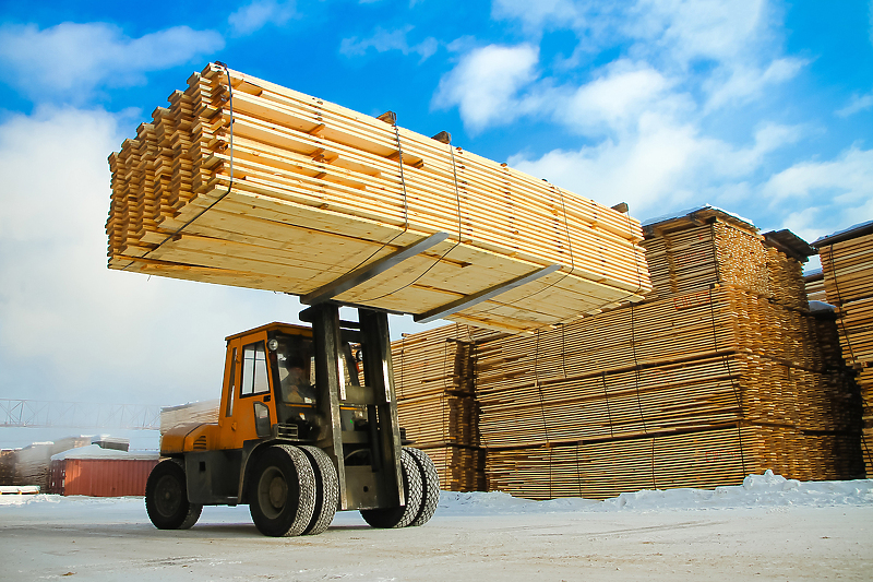BiH ima veliki potencijal u drvnoj industriji/Foto:Shutterstock