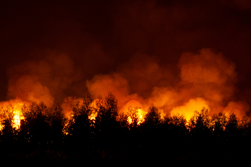 U HNK aktivno više požara (Foto: Shutterstock)
