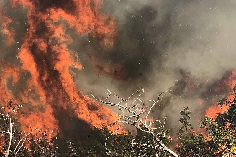 Požar u Čapljini (Foto: Instagram Vatrogasci Čapljina)