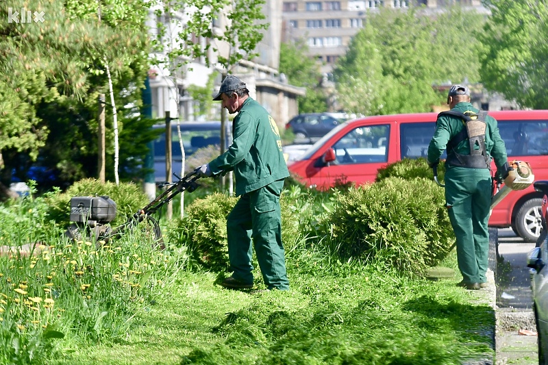 Radnici angažovani sa biroa će raditi na održavanju zelenih površina (Foto: D. S./Klix.ba)