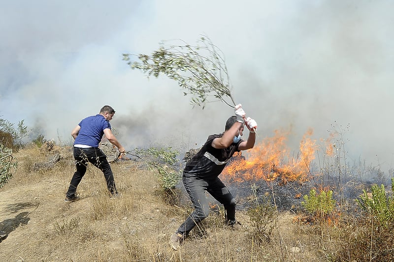 Stotine požara već danima aktivno u Alžiru (Foto: EPA-EFE)