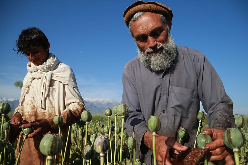 Afganistan jedan od najvećih svjetskih proizvođača droga (Foto: EPA-EFE)
