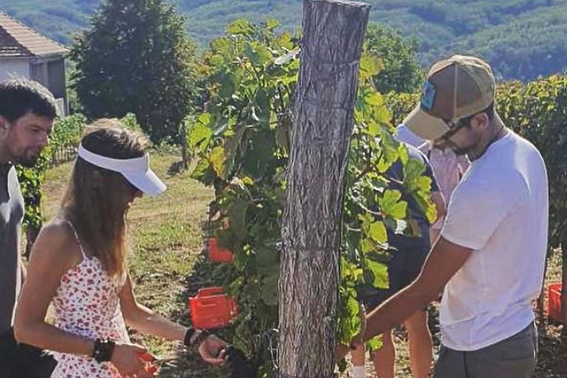 Đoković sa suprugom Jelenom pomaže pri berbi (Foto: Instagram)