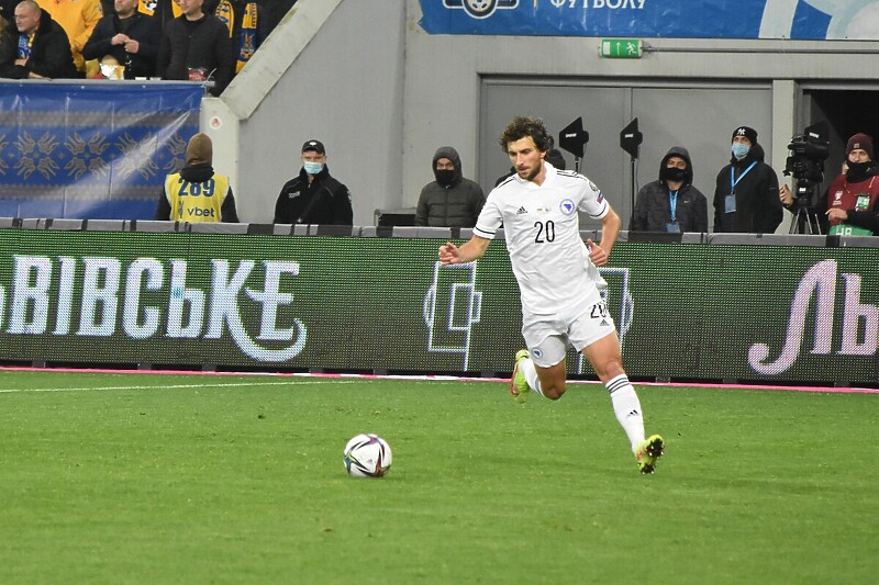 Miroslav Stevanović na meču protiv Ukrajine (Foto: NS BiH)