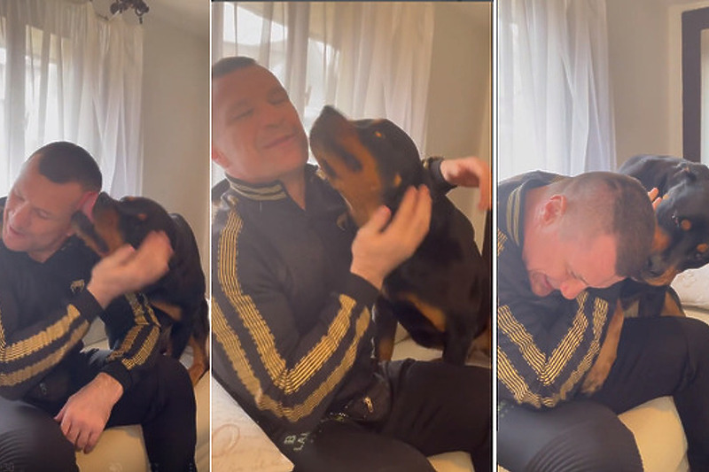 Cro Cop nakon osam mjeseci sreo se s psom kojem je spasio život (Foto: Instagram)