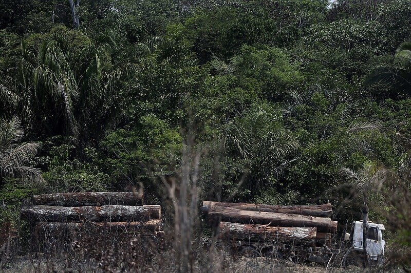 Deforestacijom Amazona se uništavaju pluća planete (Foto: EPA-EFE)