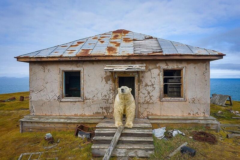 Foto: Instagram/Dmitrij Koh