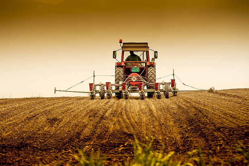 Nastojimo rasteretiti poljoprivredne proizvođače, kazao je Delić/Foto: Shutterstock