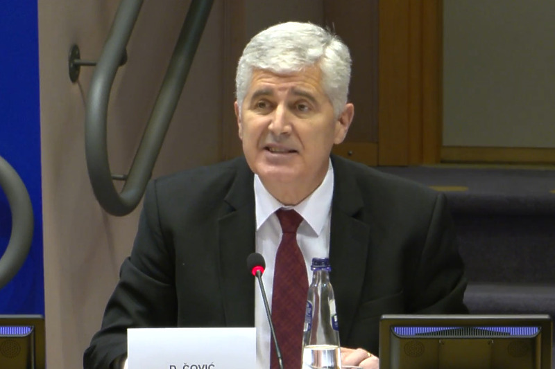 Dragan Čović u Evropskom parlamentu (Screenshot)