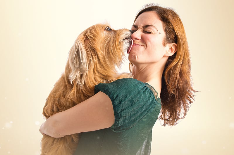 Poljupci vašeg psa mogli bi biti prilično štetni za zdravlje (Ilustracija: Shutterstock)