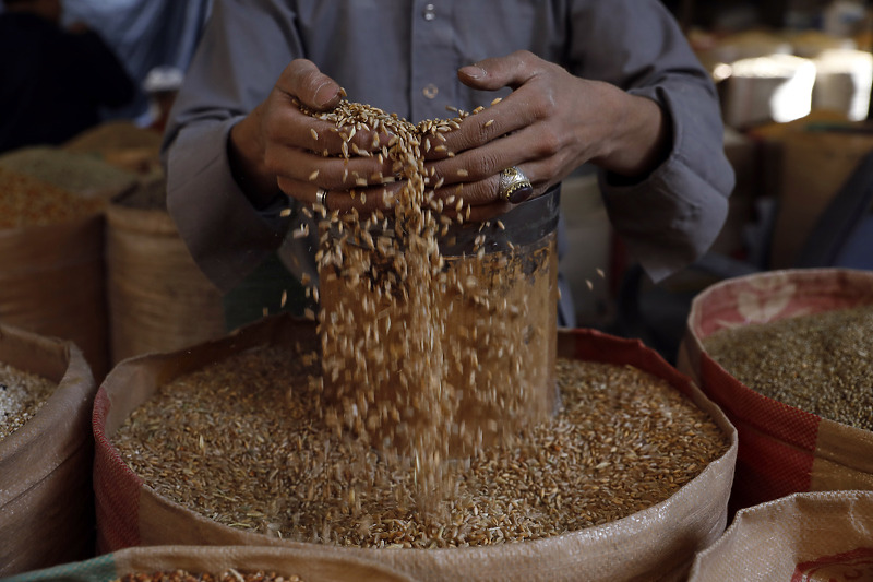 Nedostatak žitarica iz Ukrajine mogao bi izazvati glad na Bliskom istoku i u Africi (Foto: EPA-EFE)